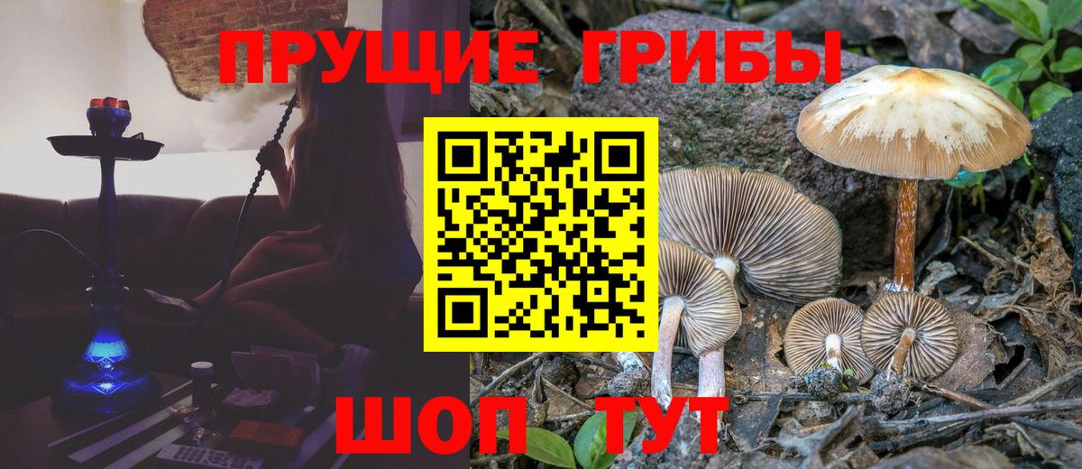 Галлюциногенные грибы MAGIC MUSHROOMS Тара