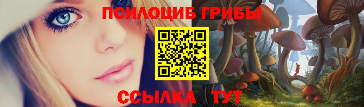 Галлюциногенные грибы MAGIC MUSHROOMS  Вход с VPN  Тара  Галлюциногенные грибы Magic Shrooms 